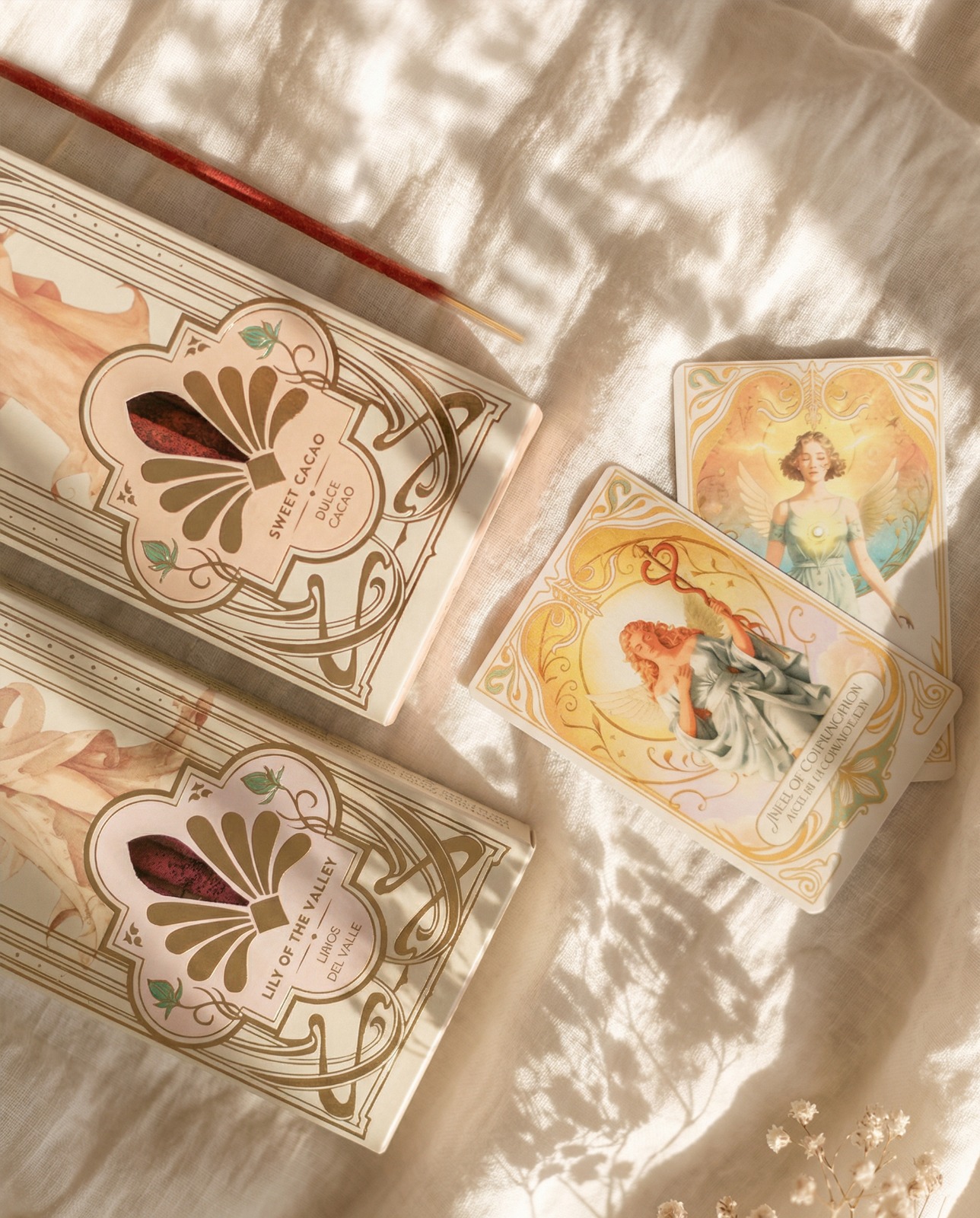 WhatsApp Image 2026-02-20 at 11.25.47 (1)