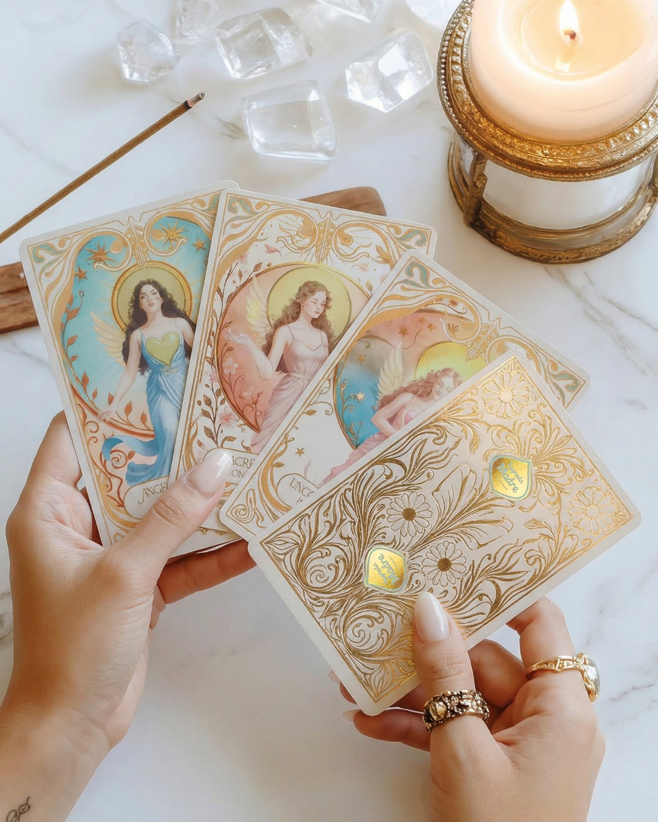 WhatsApp Image 2026-02-20 at 11.25.47